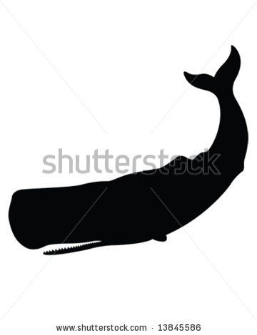 360x470 Sperm Whale Vector Projects To Try Whale Illustration, Whale
