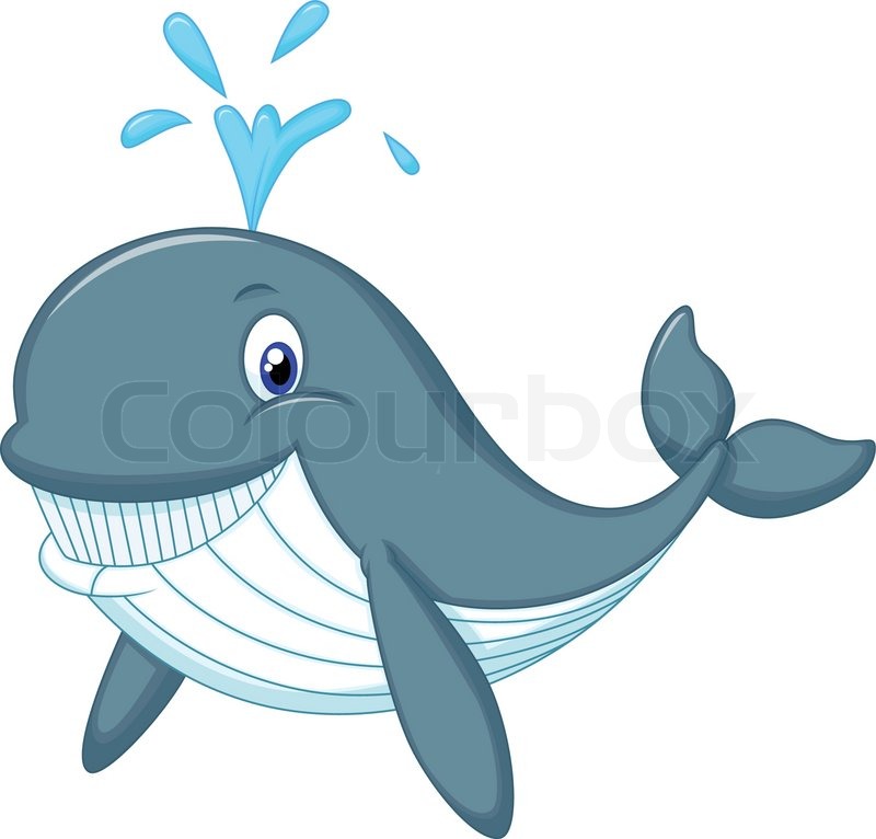 800x766 Vector Illustration Of Cute Whale Stock Vector Colourbox