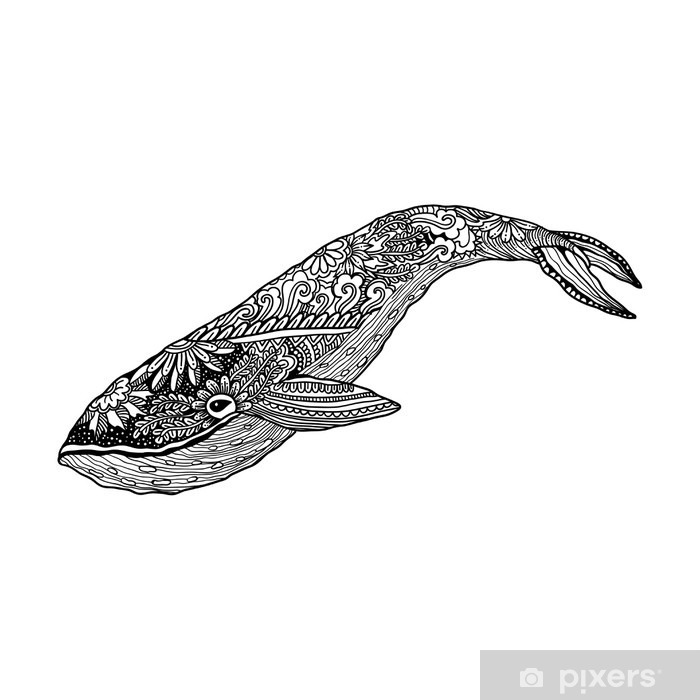 700x700 Whale, Vector Zentangle Print, Adult Coloring Page Hand Drawn