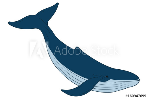 Whale Vector at Vectorified.com | Collection of Whale Vector free for ...