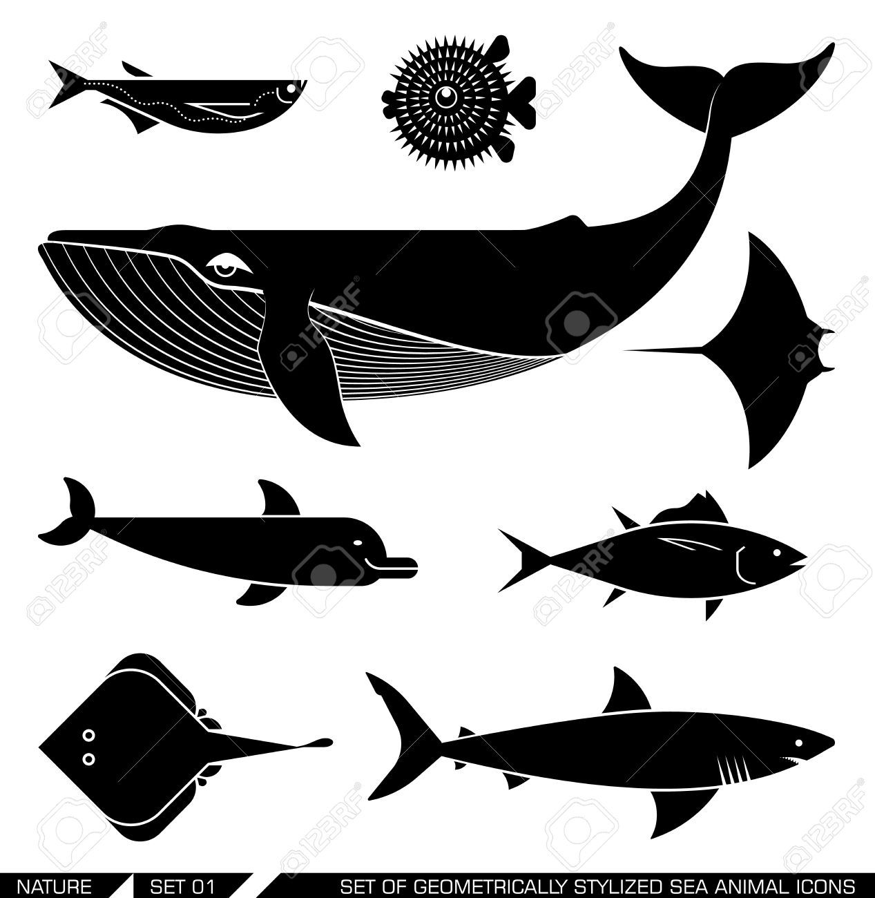1267x1300 Whale Vector