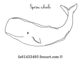 264x194 Free Sperm Whale Vector Art Prints And Wall Artwork Freeart