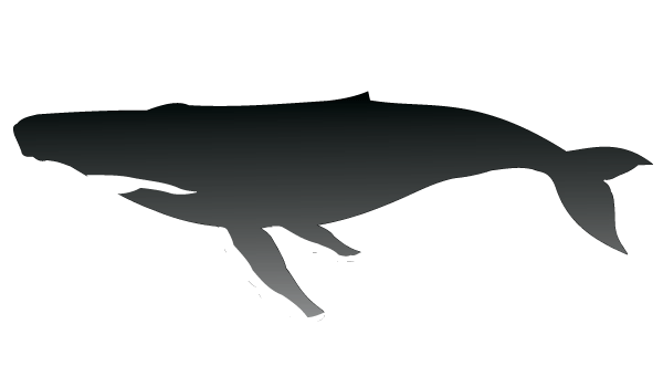 600x350 Humpback Whale Silhouette Vector Download Free Vector Art Free