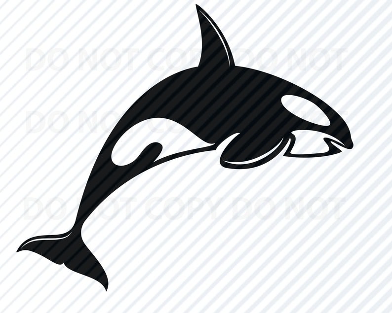 794x635 Killer Whale Images Orca Silhouette Mammal Etsy