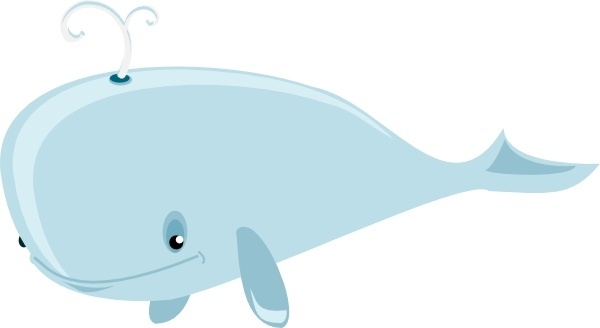 600x328 Orca Vector Free Vector Download