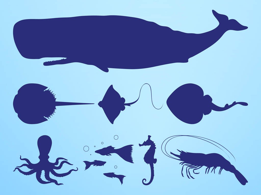 1024x765 Sea Creatures Silhouettes Vector Art Graphics