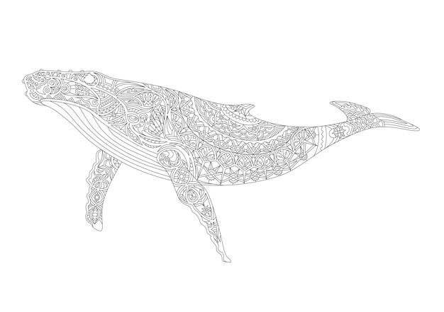 626x441 Whale Illustration Vectors, Photos And Free Download
