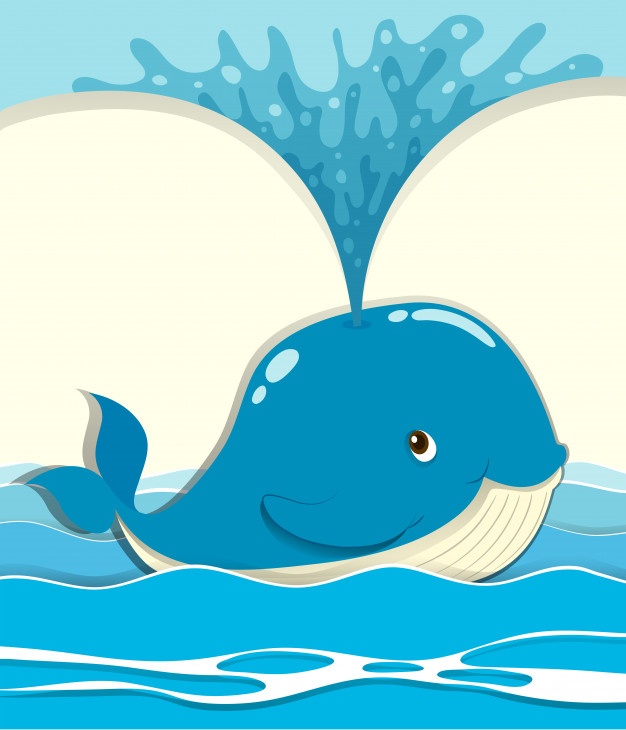 626x730 Whale Vectors, Photos And Free Download