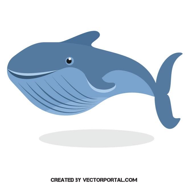 660x660 Blue Whale Vector Image Animal Vectors In Big Blue Whale