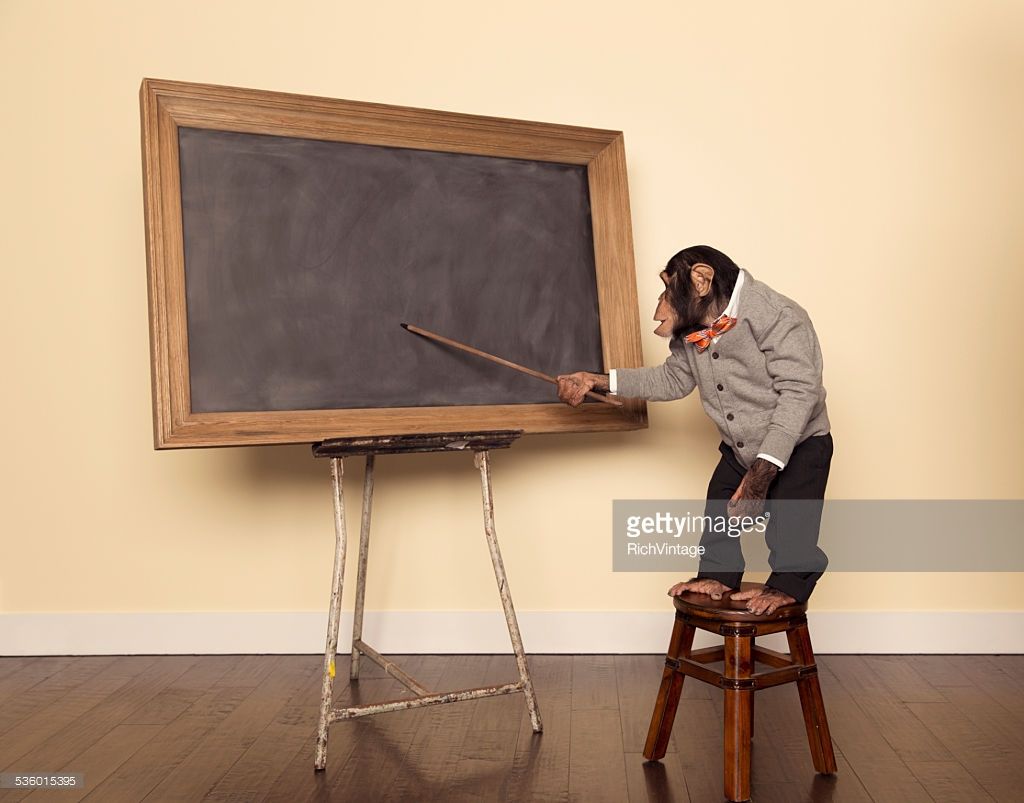 1024x803 A Chimpanzee Professor Is Ready For Class To Start With The Help