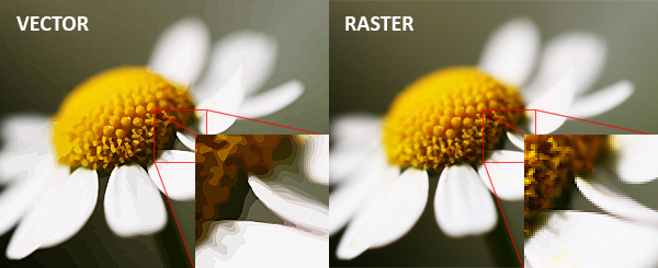 Image Types Explained Which Format Should You Use 600x245 Image Types Explained Which Format Should You Use