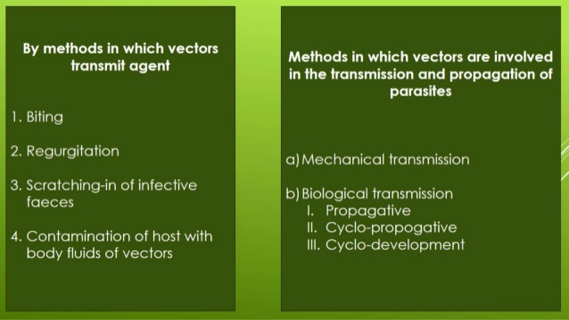 638x359 Disease Transmission And Cycle