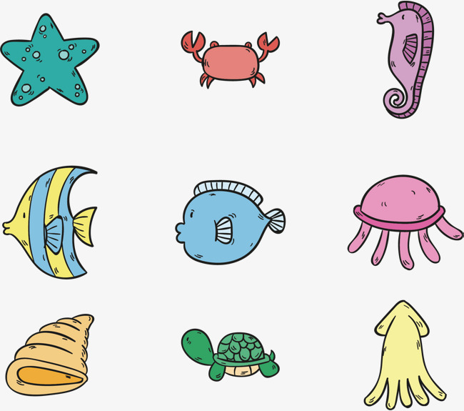 650x575 Marine Biological Vector, Hand, Marine Organism, Starfish Png