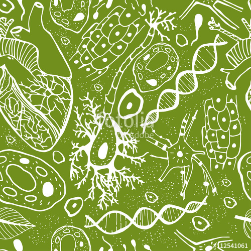 500x500 Biological Background Vector Stock Image And Royalty Free Vector