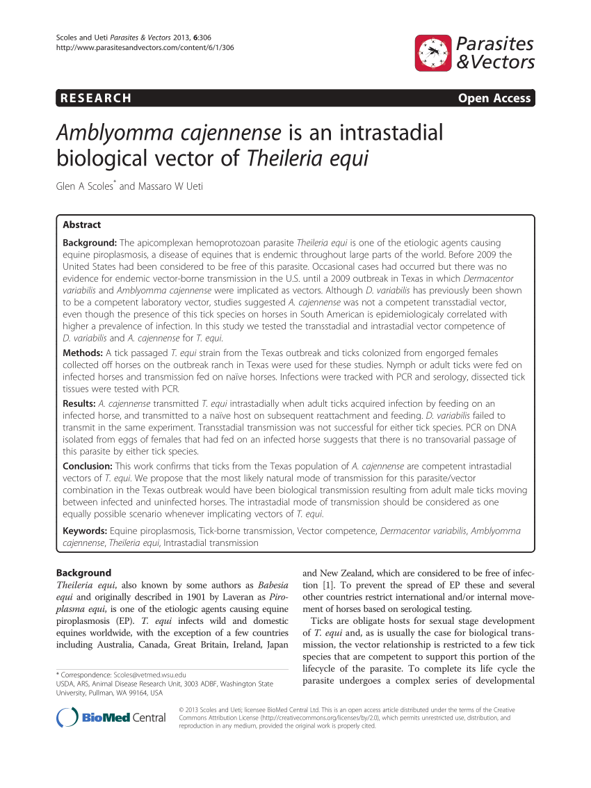 850x1133 Pdf Amblyomma Cajennense Is An Intrastadial Biological Vector