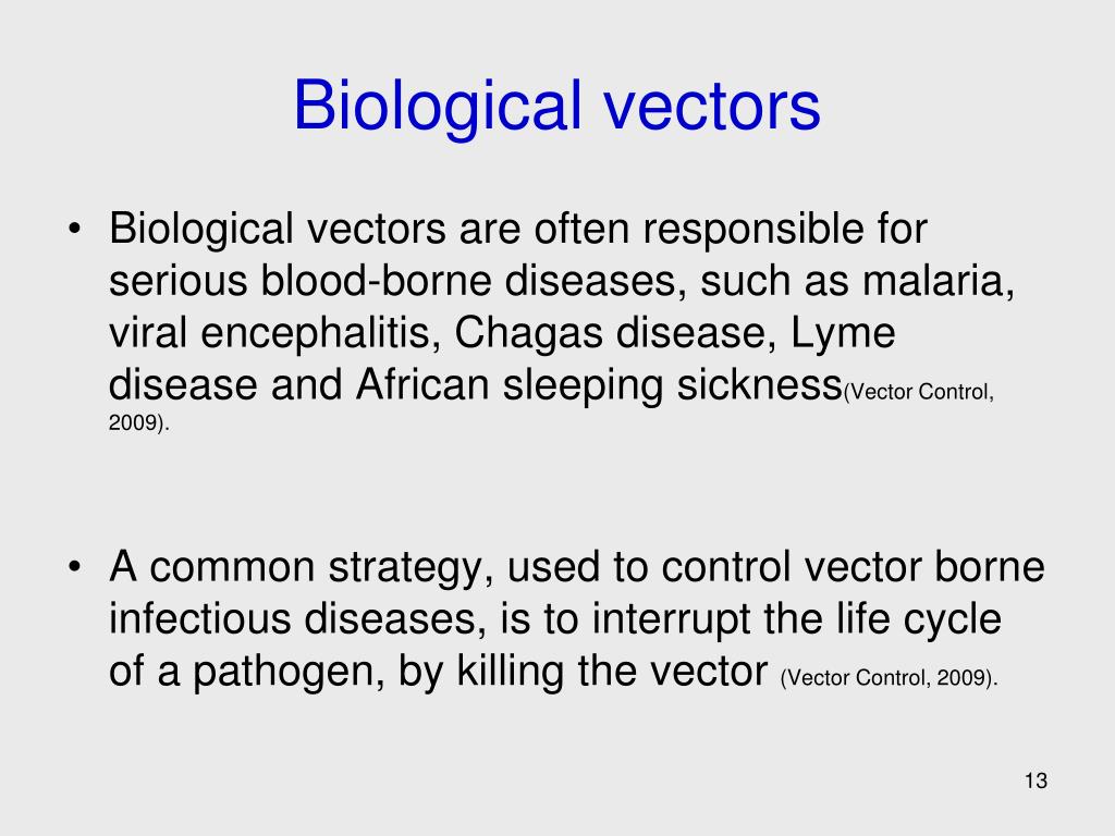 What Is A Biological Vector At Vectorified.com | Collection Of What Is ...