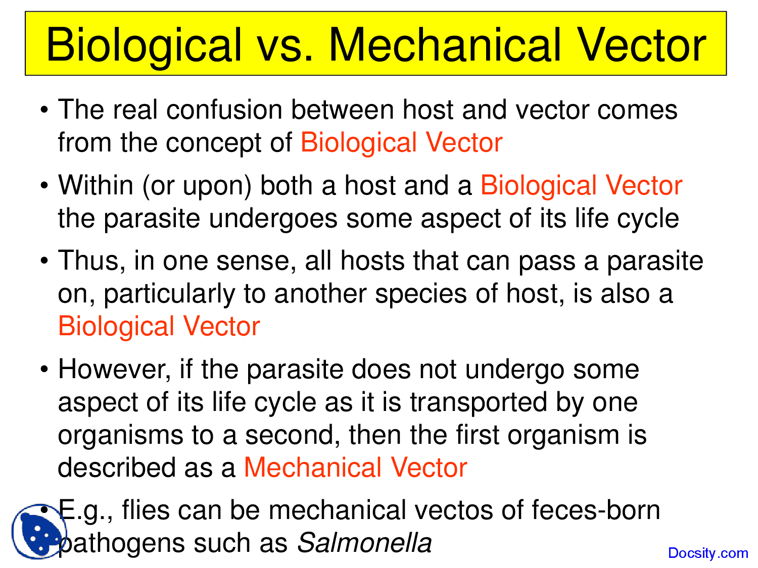 Parasitology 1500x1125 Parasitology