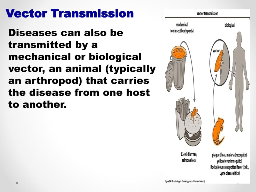 1024x768 Principles Of Communicable Diseases Epidemiology