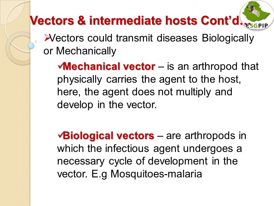 960x720 Seep And Goat Health And Disease Control Part I