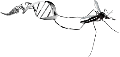 389x186 Vector Biology Biology