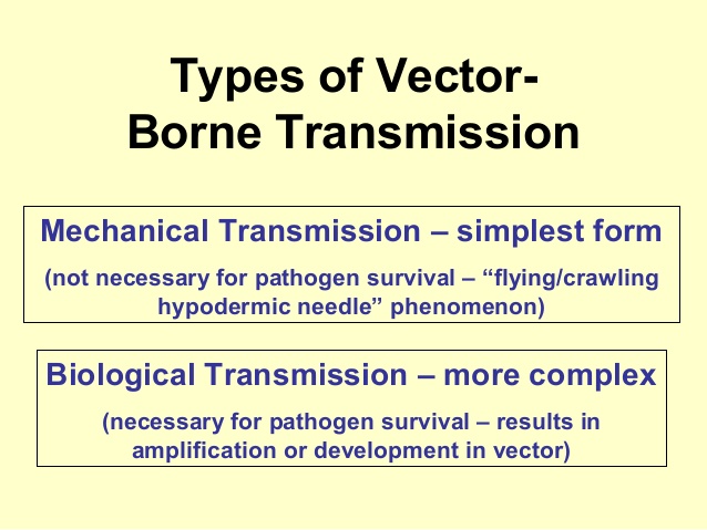 638x479 Vector Borne Diseases