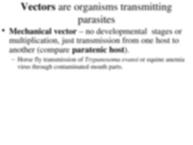 640x480 Biological Vector Cyclodevelopmental Transmission Wuchereria