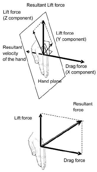 Hand's Resultant Velocity Vector, Drag Force Vector, Components 328x582 Hand's Resultant Velocity Vector, Drag Force Vector, Components