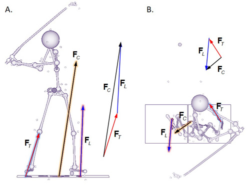 Scalar Vs Vector 500x371 Scalar Vs Vector