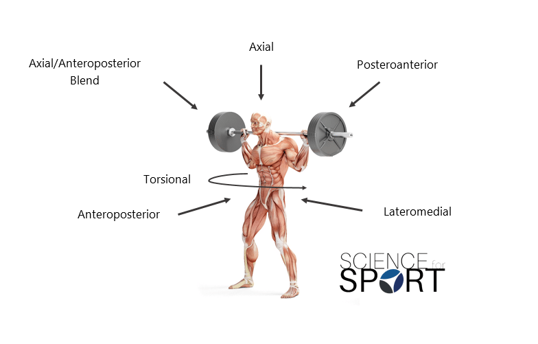 Force Vector Training Science For Sport 784x501 Force Vector Training Science For Sport