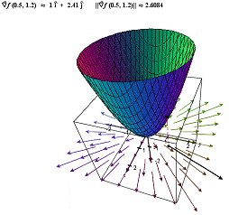254x238 Vector Field Examples