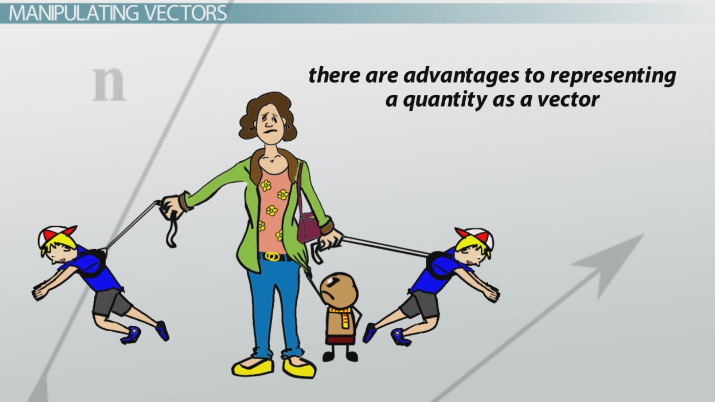 1463x823 What Is A Vector