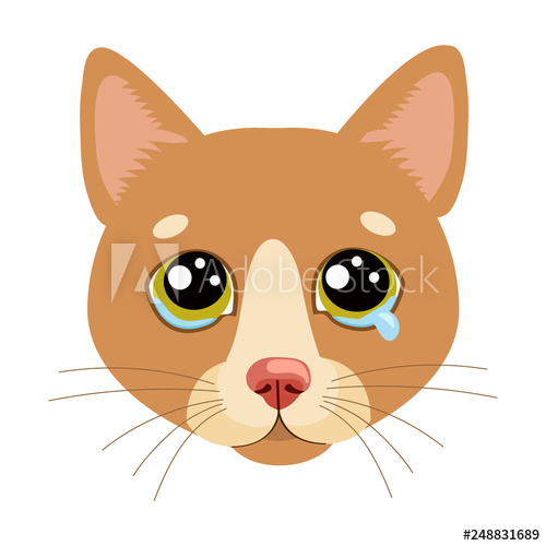 500x500 Sad Cat Face Head Vector Icon Illustration Of Cute Sad Animal