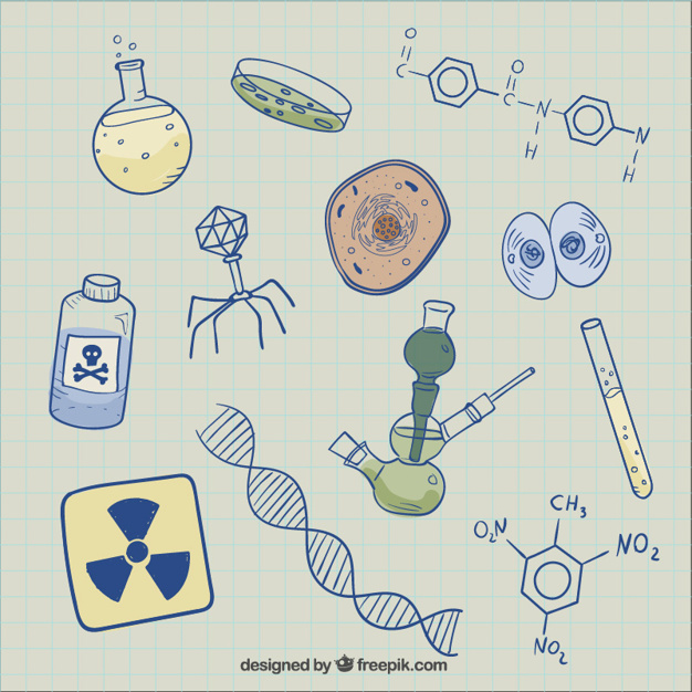 626x626 Biology Sketches Background Vector Free Download
