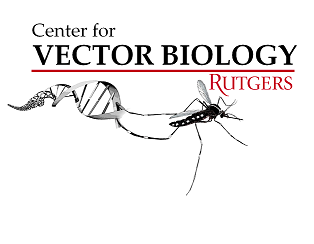 314x244 Center For Vector Biology