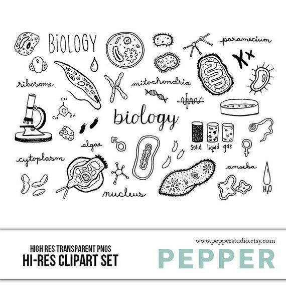 570x570 Biology Doodle Clipart Set