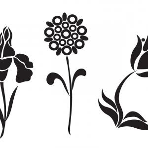 300x300 What Is Vector Graphics An Introduction Soidergi