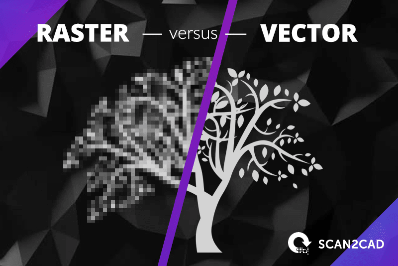 800x534 Explained Raster Versus Vector