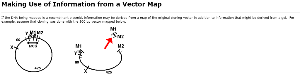 1024x269 Solved Draw What The Final Complex Map Of Example C Would