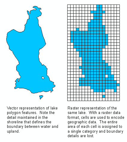 423x471 What Is The Difference Between Raster And Vector Data