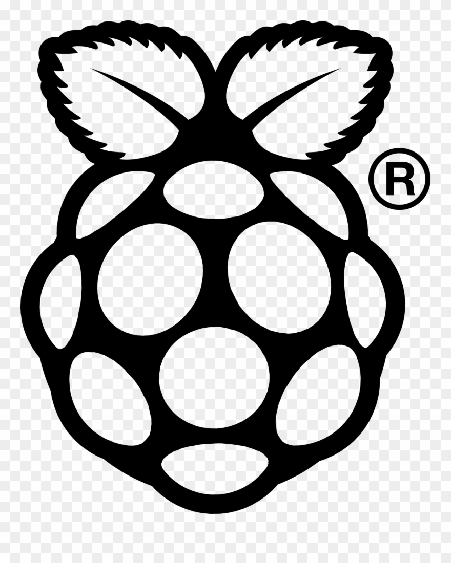 880x1100 Raspberry Pi Logo