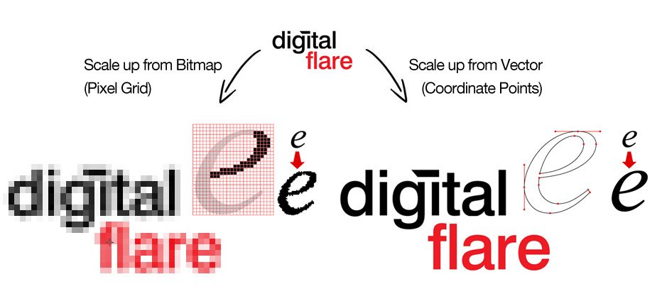 932x407 What Is A Vector Or Pdf Image
