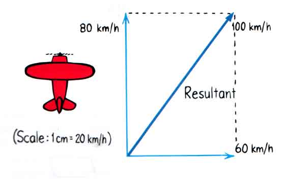 568x352 Newton's Third Law Of Motion