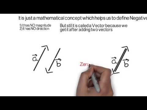 480x360 Zero Vector Or Null Vector