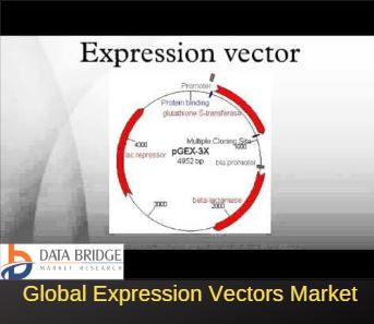 343x297 Expression Vectors Market Analyzed