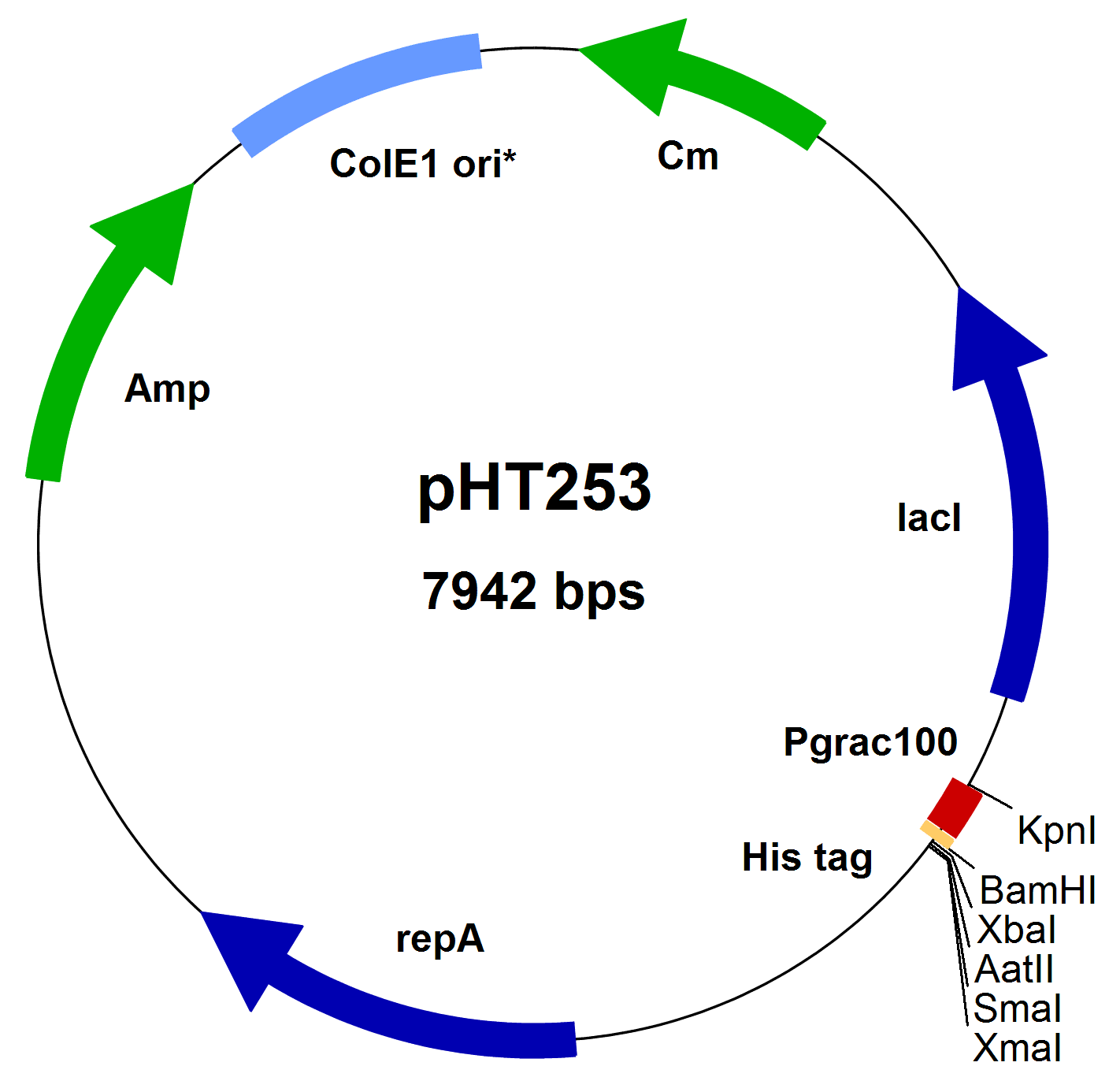 1422x1386 Mobitec Bacillus Subtilis Expression Vectors
