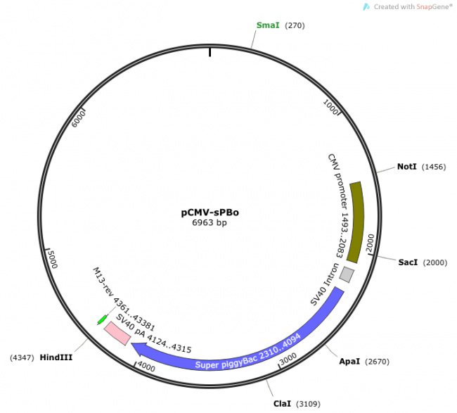 650x587 Transposagen Biopharmaceuticals