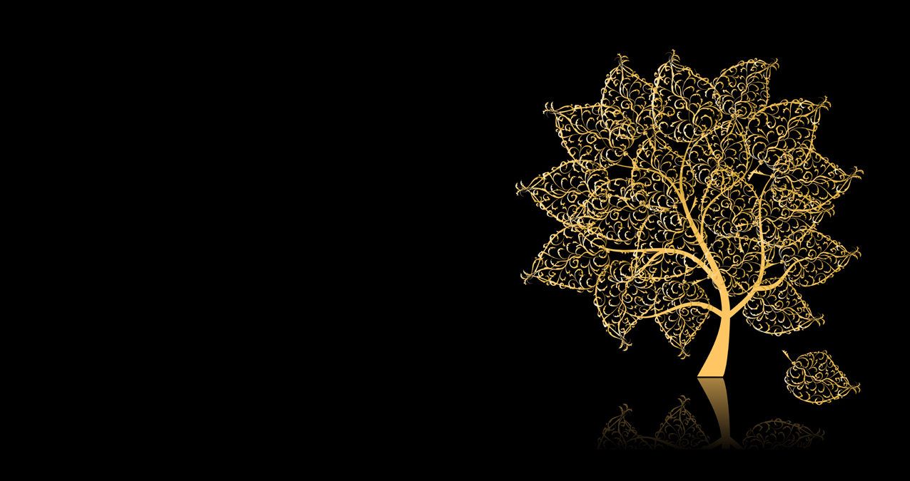 1275x675 Free Vector Images