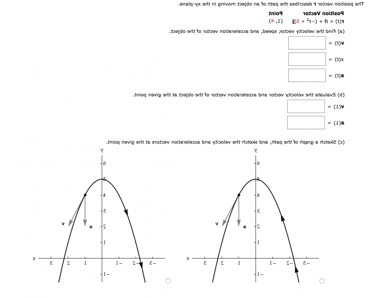 what-is-position-vector-at-vectorified-collection-of-what-is