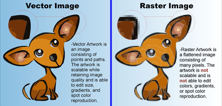 Raster Vs Vector Graphics Seattle Graphics 750x358 Raster Vs Vector Graphics Seattle Graphics
