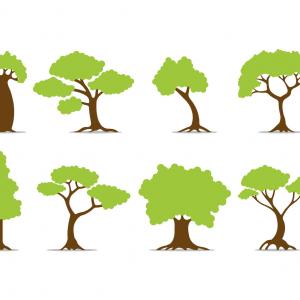 What Is Vector Graphics An Introduction Cqrecords 300x300 What Is Vector Graphics An Introduction Cqrecords